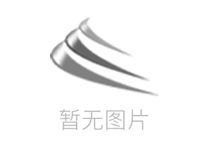 Industry Leaders Convene at Zhengtu International to Chart t - 征途国际